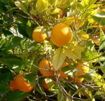Bild: Erfrischt durch den Sommer